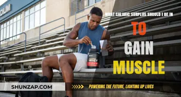 Optimal Caloric Surplus for Effective Muscle Gain: A Comprehensive Guide
