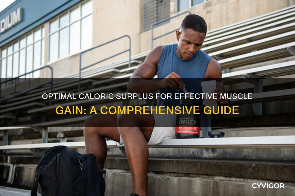 what calaric surplus should i be in to gain muscle