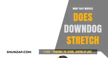 Unleashing Flexibility: How Downward Dog Stretches Your Calf Muscles