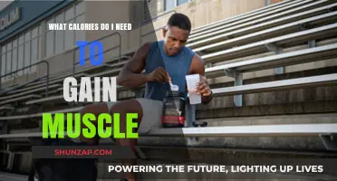 Fuel Your Muscle Growth: Understanding Caloric Needs for Strength Gains