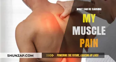Muscle Pain: Understanding the Root Causes