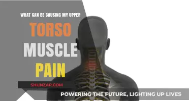 Upper Torso Muscle Pain: What Could Be the Cause?