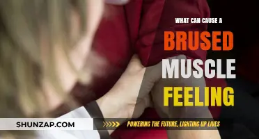 Understanding the Causes of Bruised Muscle Sensations