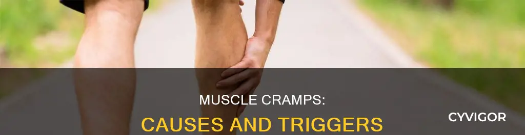 what can cause a cramp