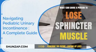 How Sphincter Muscle Loss Occurs