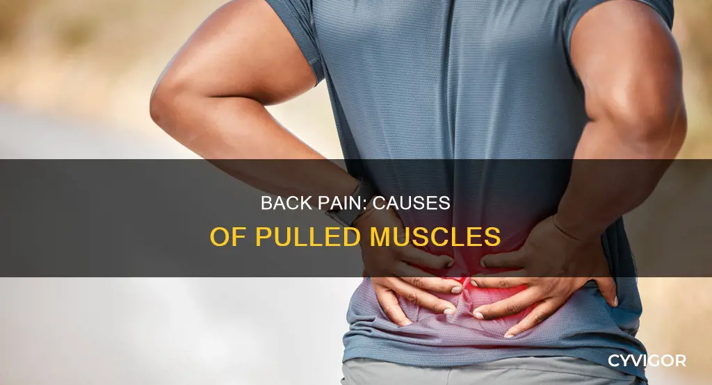 what can cause a pulled muscle in back