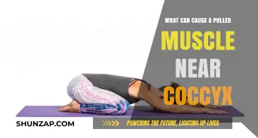 Pulled Muscle Near Coccyx: Understanding the Root Causes