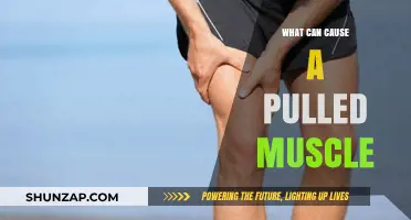 Muscle Pull Causes: Understanding the Reasons Behind the Pain