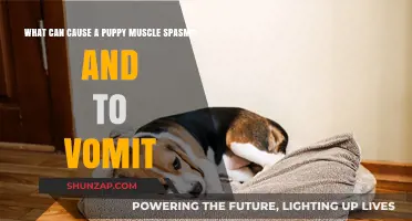 Puppy Muscle Spasms and Vomiting: What You Need to Know
