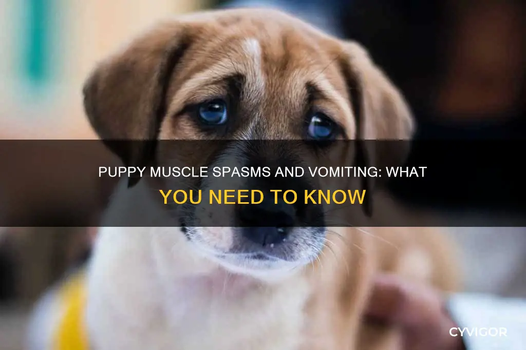 what can cause a puppy muscle spasms and to vomit