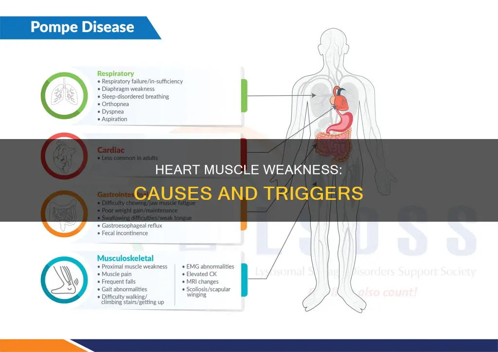 what can cause a weak heart muscle