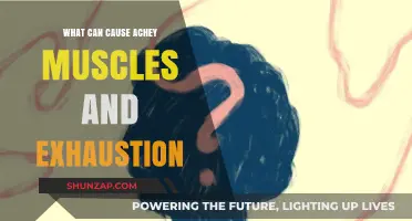 Muscle Aches and Exhaustion: What's the Underlying Cause?