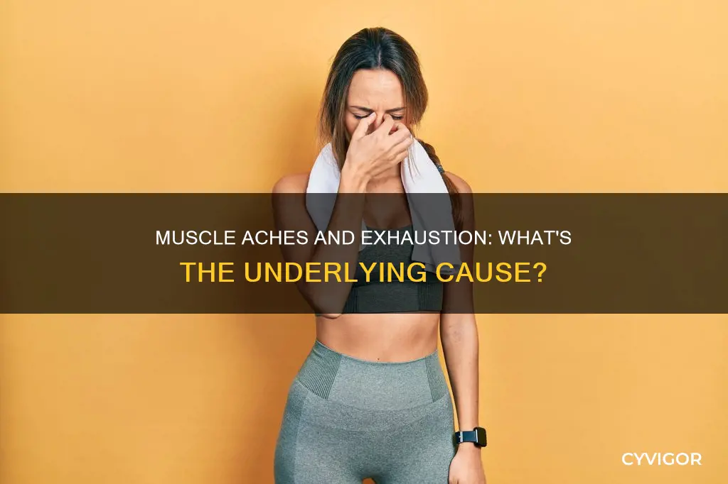 what can cause achey muscles and exhaustion