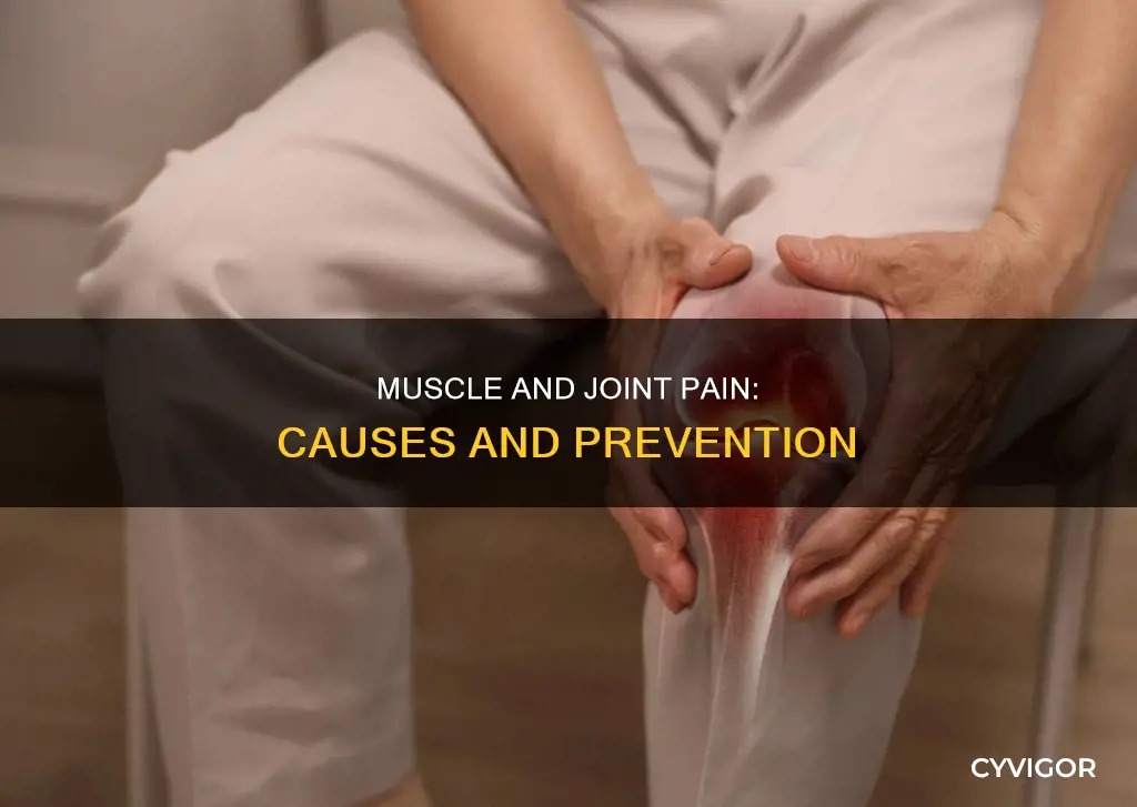 what can cause aching muscles and joints