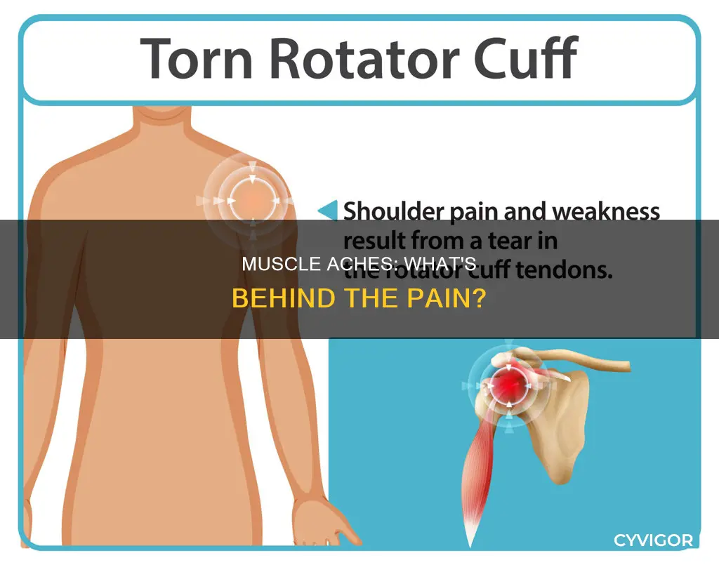 what can cause achy muscles