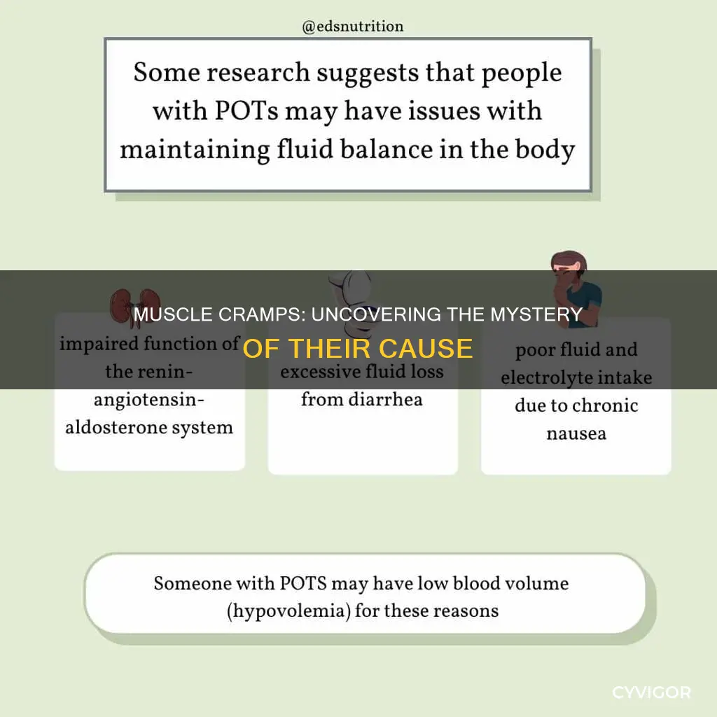 what can cause all your muscles to cramp