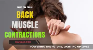 Back Muscle Contractions: Understanding the Underlying Causes