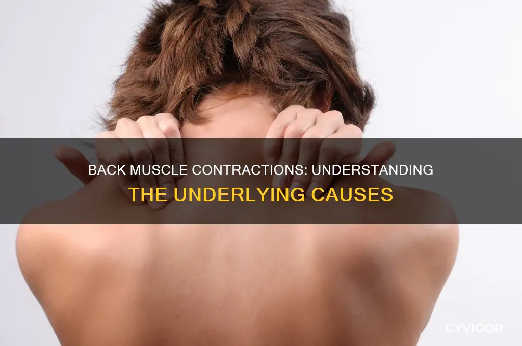 what can cause back muscle contractions