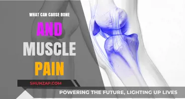 Uncover the Reasons Behind Bone and Muscle Pain