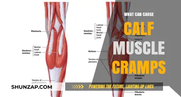 Understanding Calf Cramps: Causes and Prevention