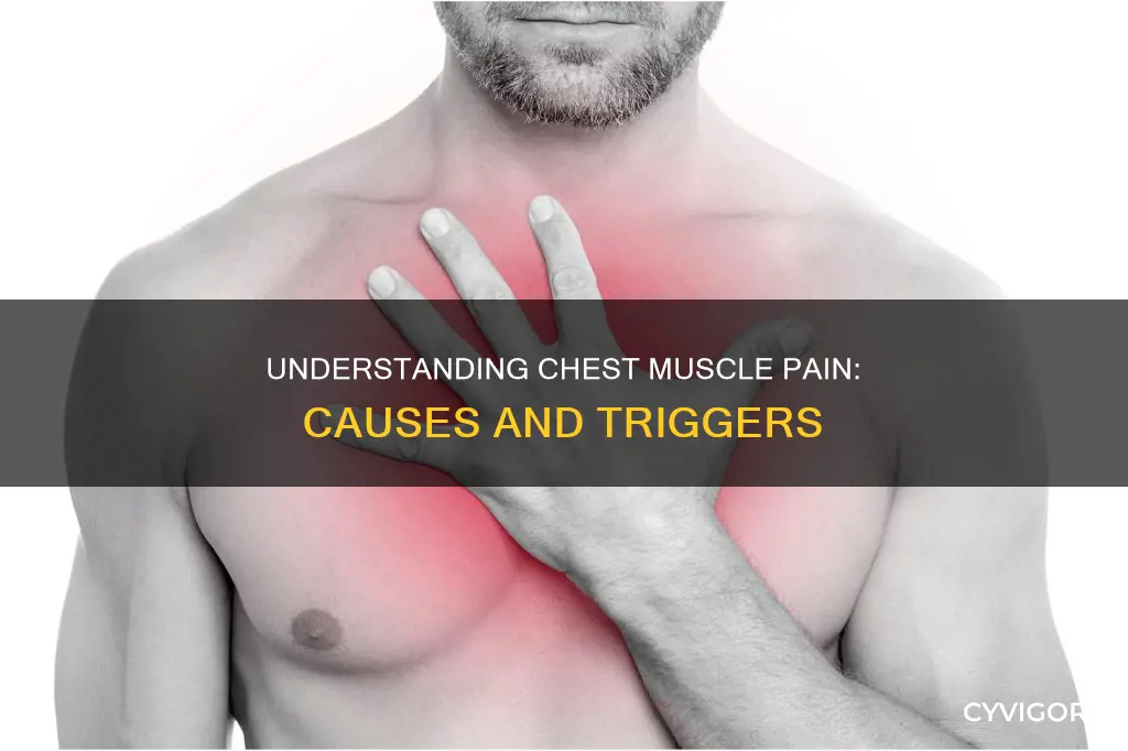 what can cause chest muscle pain