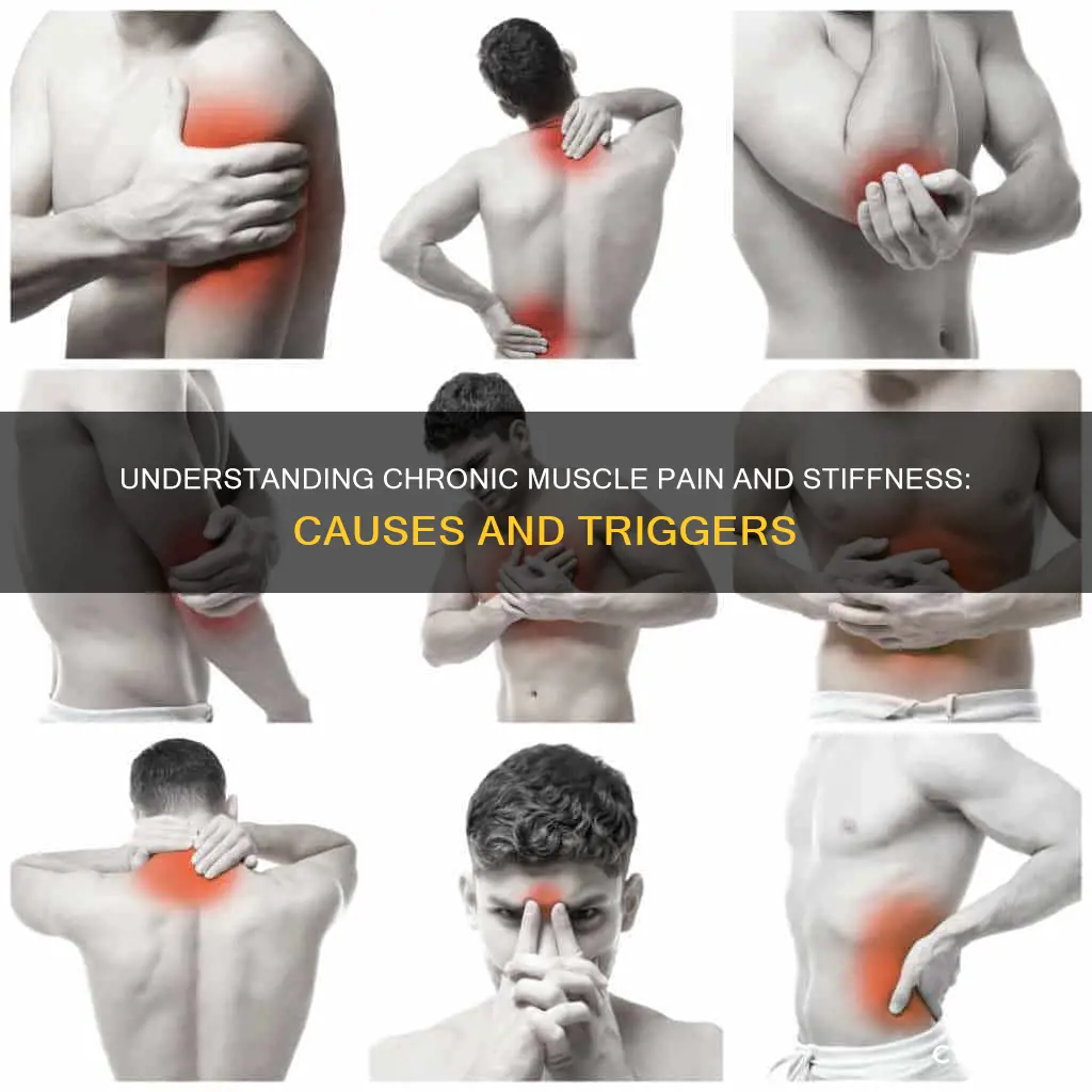 what can cause chrinc muscle pain and stifness