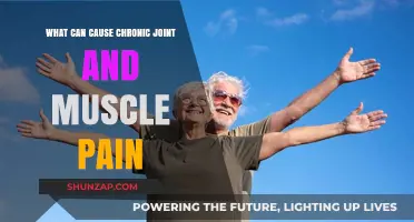 Understanding Chronic Joint and Muscle Pain Triggers