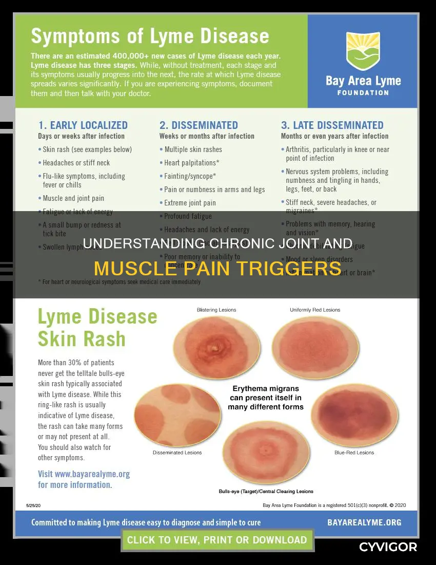 what can cause chronic joint and muscle pain