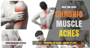 Understanding Chronic Muscle Aches: Causes and Triggers