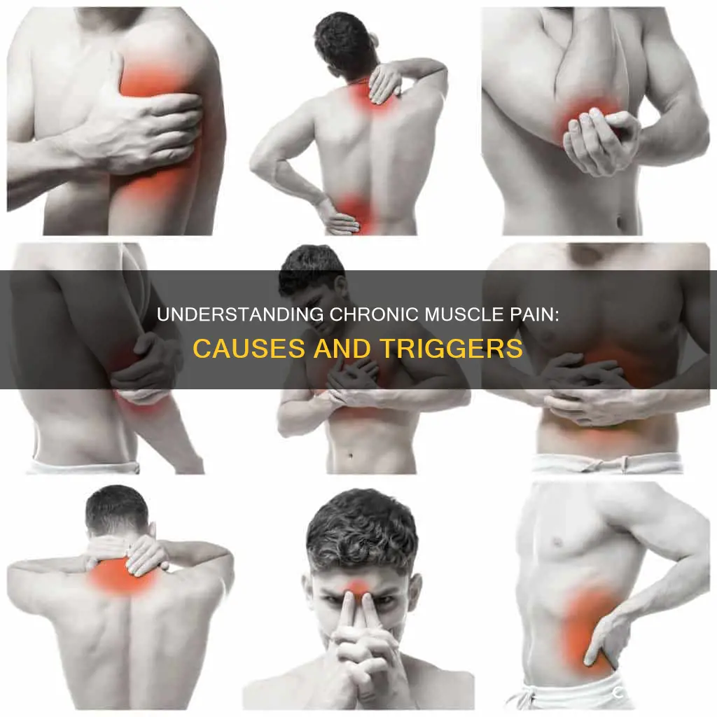 what can cause chronic muscle strain and pain