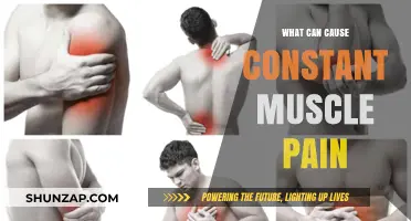 Understanding Chronic Muscle Pain: Causes and Triggers