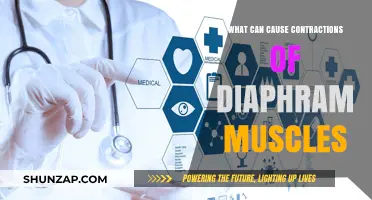 Diaphragm Contractions: What's the Cause?