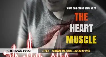 Heart Muscle Damage: Understanding the Causes and Risks