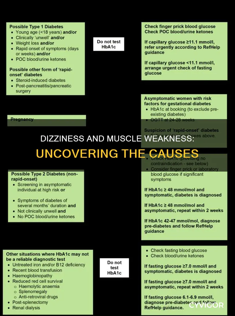 what can cause dizziness and muscle weakness