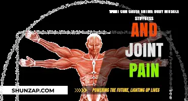 Muscle and Joint Pain: What Are the Root Causes?