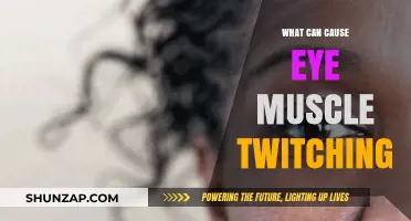 Eye Muscle Twitching: What Are the Triggers?
