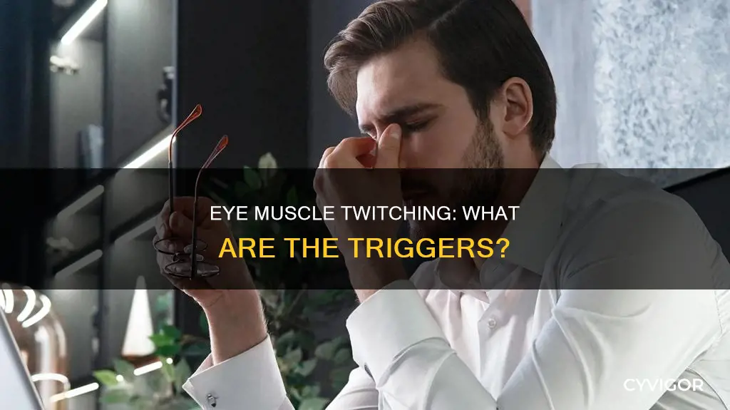 what can cause eye muscle twitching