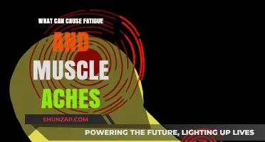 Uncovering the Reasons Behind Fatigue and Muscle Aches
