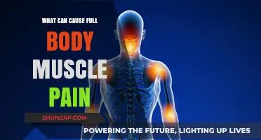 Mysterious Muscle Pain: What's Causing Your Discomfort?