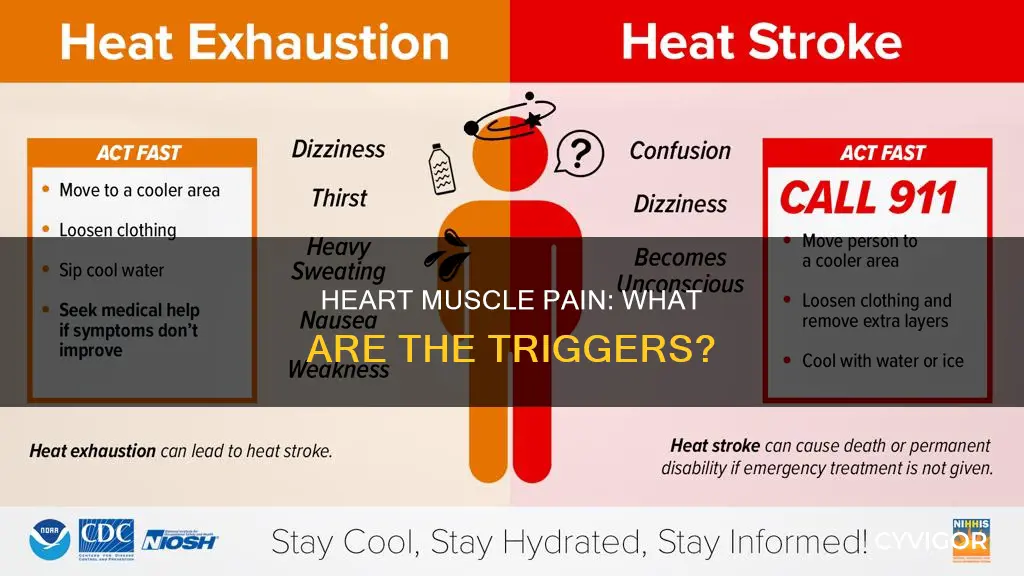 what can cause heart muscle pain