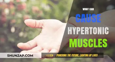 Understanding Hypertonic Muscles: Causes and Triggers