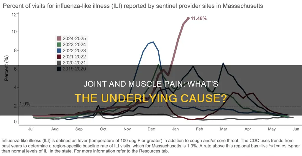 what can cause joint pain and muscle pain and headache