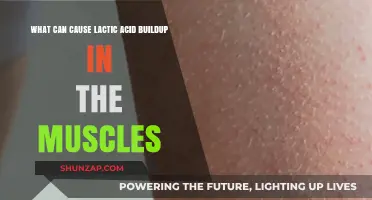 Understanding Lactic Acid: Muscle Buildup Causes