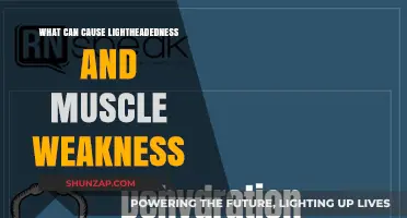 Understanding Lightheadedness and Muscle Weakness Triggers