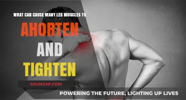 Leg Muscles: Shortening and Tightening Causes