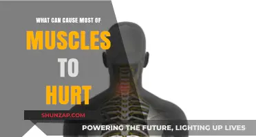 Mysterious Muscle Pain: What's Causing Your Aches?