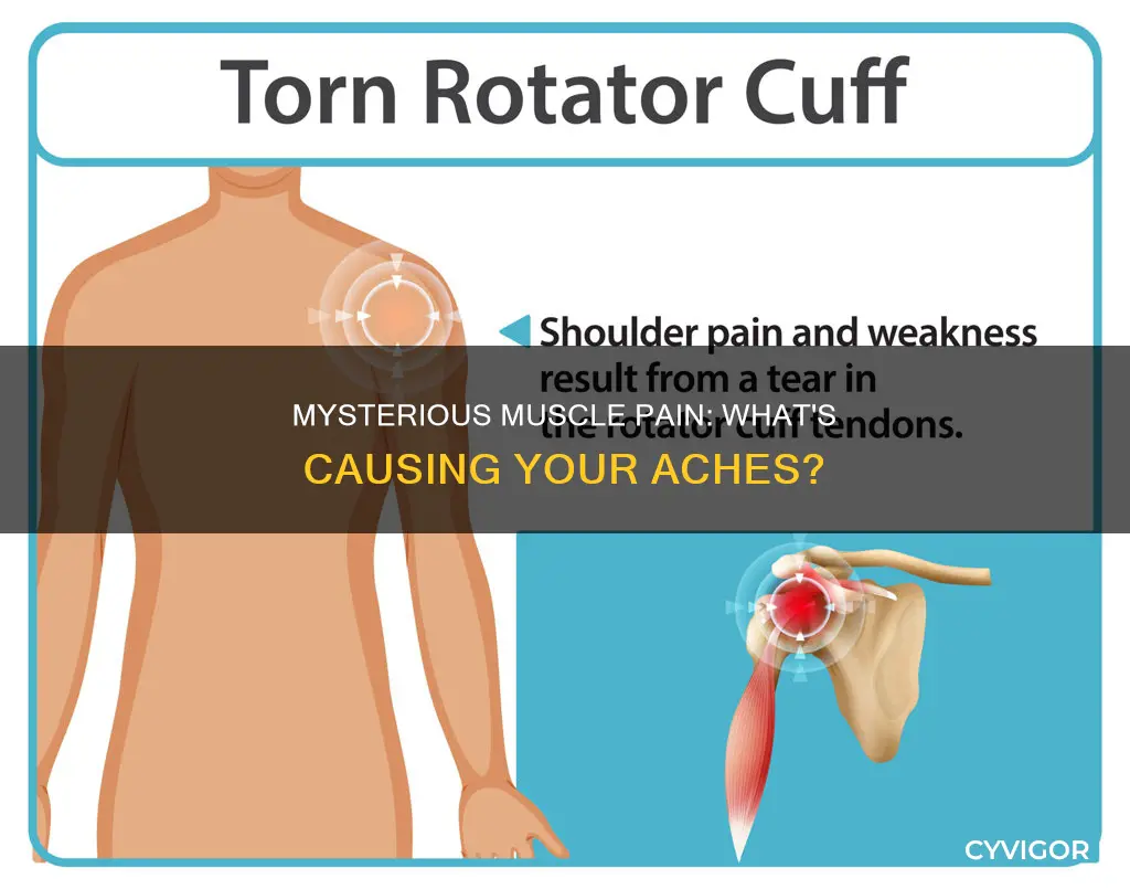 what can cause most of muscles to hurt