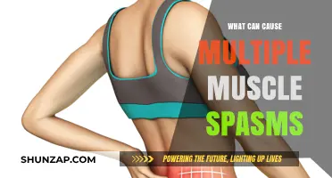 Muscle Spasms: Understanding the Triggers and Causes