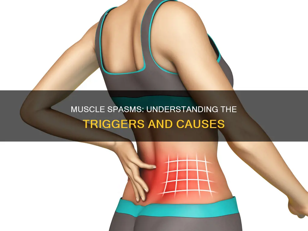 what can cause multiple muscle spasms