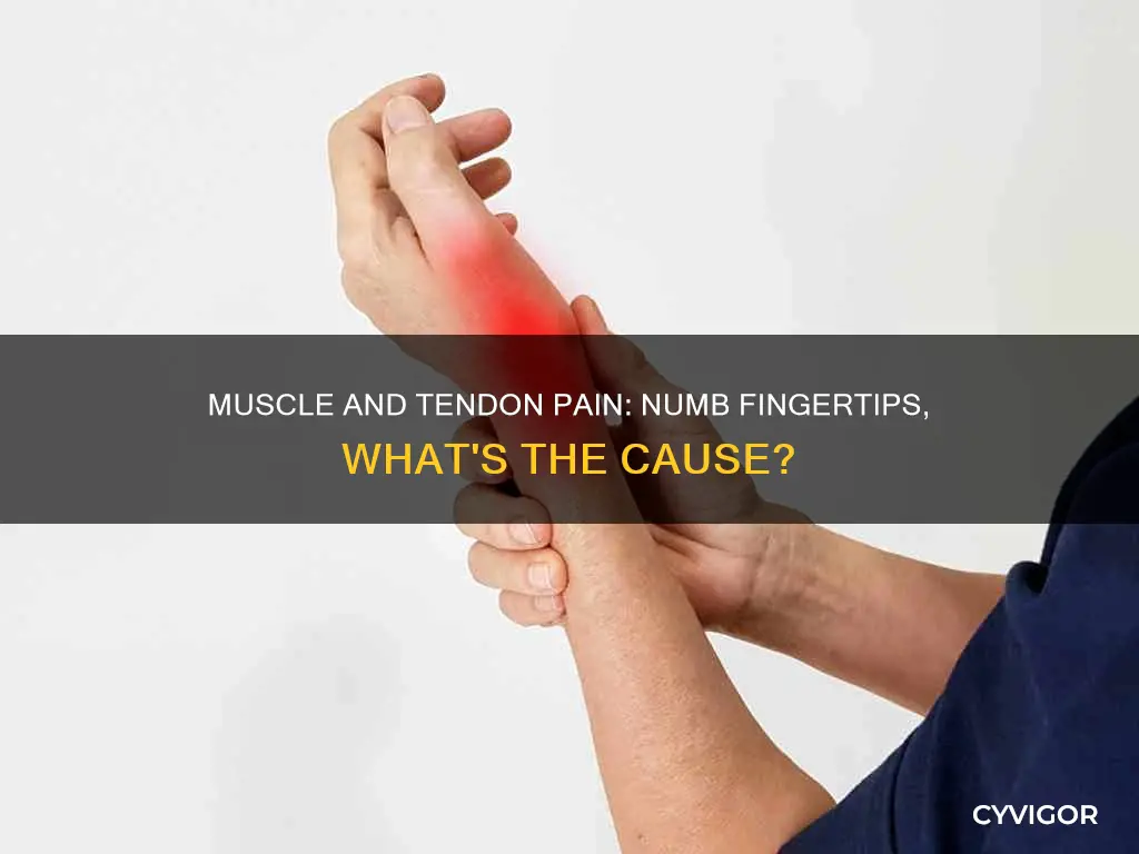 what can cause muscle and tendon pain and numb fingertips